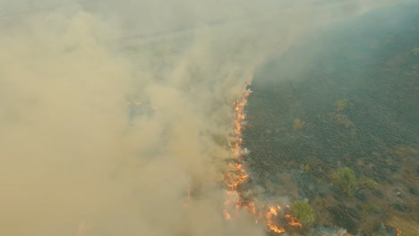 descending-drone-shot,-smoke-clouds,-controlled-fire,-forest-fire-line,-farmland-burning-up,-flying-FPV-aerial,-spectaculair