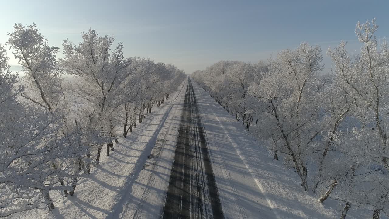 겨울 눈 덮인 길