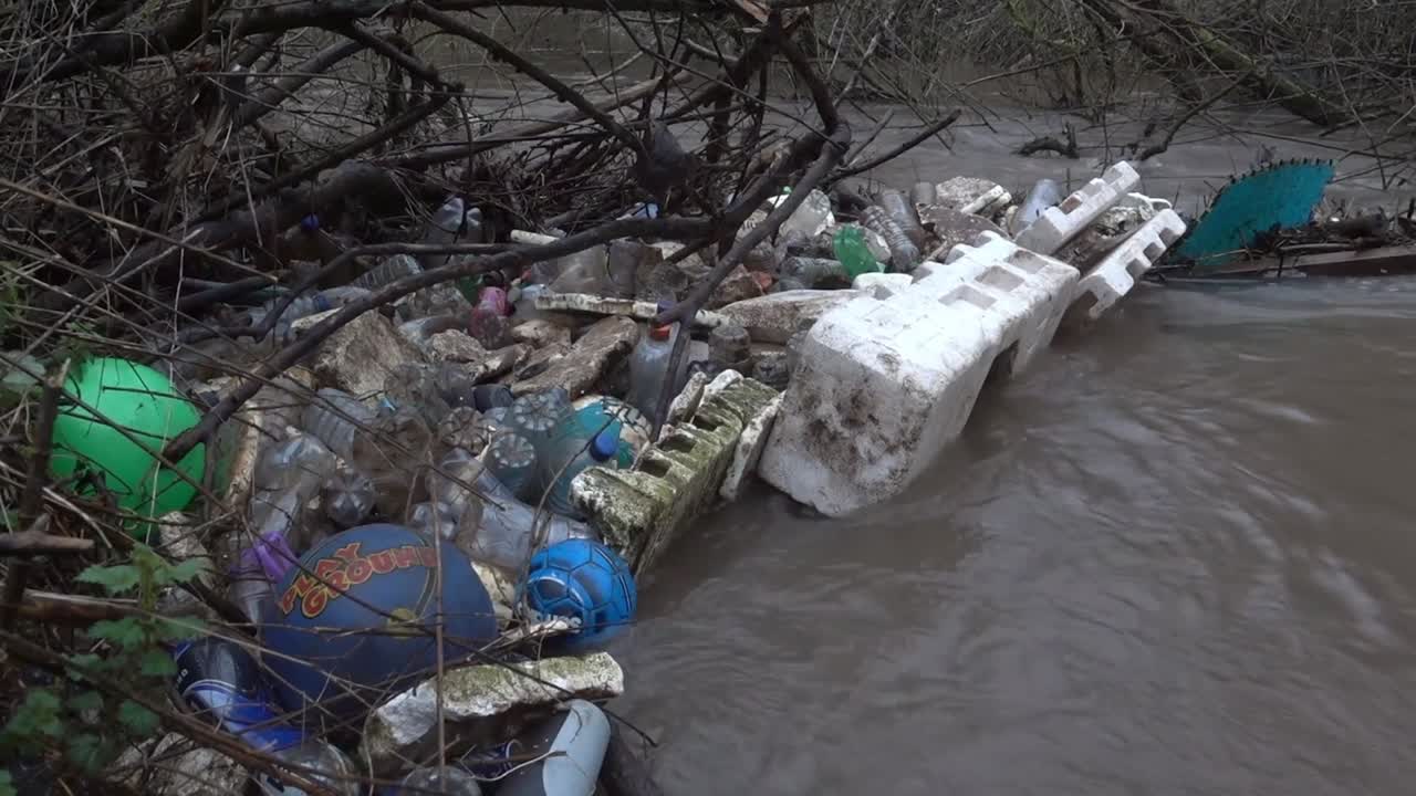 Plastic rubbish caught in in branches after flooding in Winter. River Stour. Staffordshire. UK