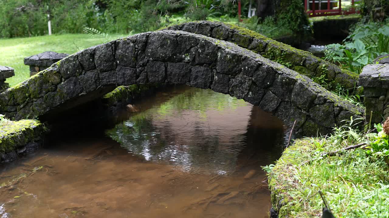 rustic stone bridge over river in the rainforest