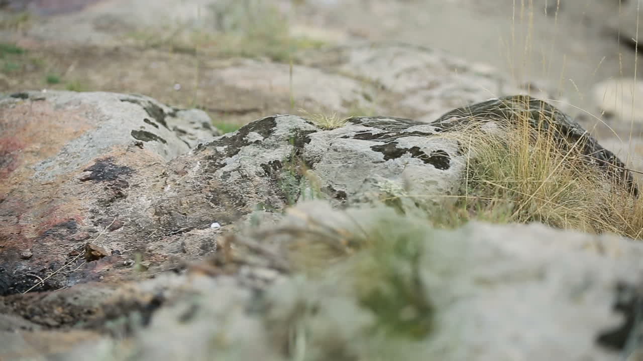 Make The Fire In Nature. Traditional way of making food in nature