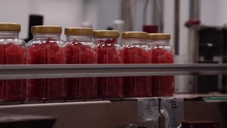 red gummy jelly vitamins in bottles on conveyor belt - nutraceutical factory