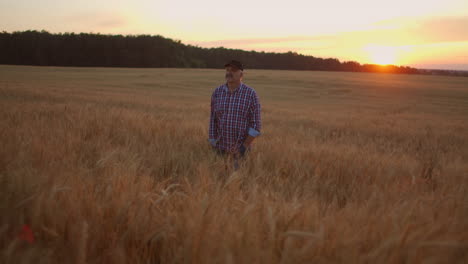 senior-adult-farmer-Walks-in-a-field-of-wheat-in-a-cap-at-sunset-passing-his-hand-over-the-Golden-colored-ears-at-sunset.-Agriculture-of-grain-plants.