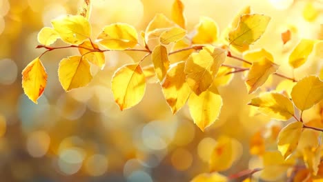 a close up of a tree branch with yellow leaves on it