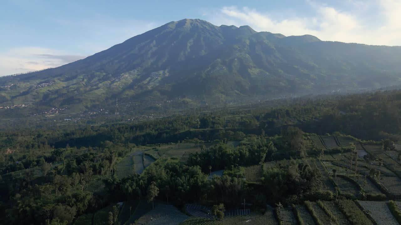 Sorvolo di un campo agricolo verde nella campagna tropicale dell'Indonesia con il Monte Merbabu sullo sfondo in una mattina di sole.