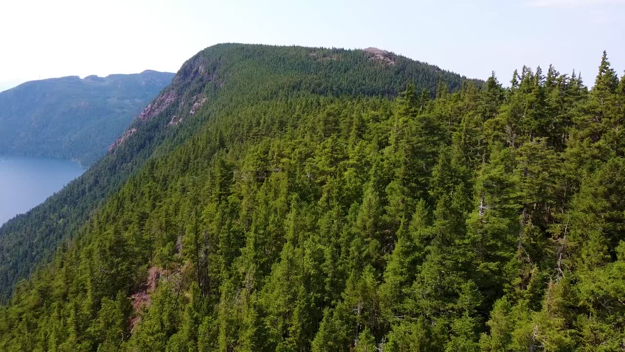 wesley ridge mountain en la isla de vancouver canadá