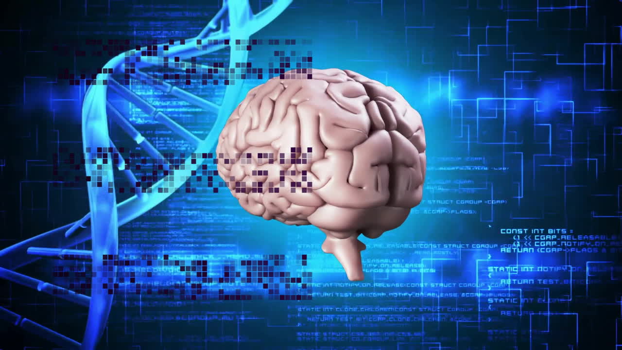 Human brain and DNA strand with digital data processing animation