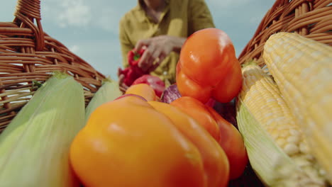 fresh vegetables in a basket