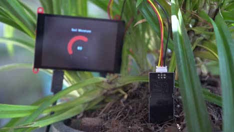 mano de mujer usando sensor de humedad del suelo con pantalla de visualización numérica de humedad, tecnología agrícola.