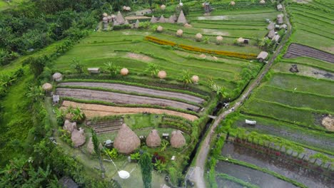 aerial : maha gannga valley in bali-indonesia, a camp ground glamping agrotourism inn featuring eco huts, mountain views to agung volcano, rice terraces, palm tree jungles, waterfal and photo spots