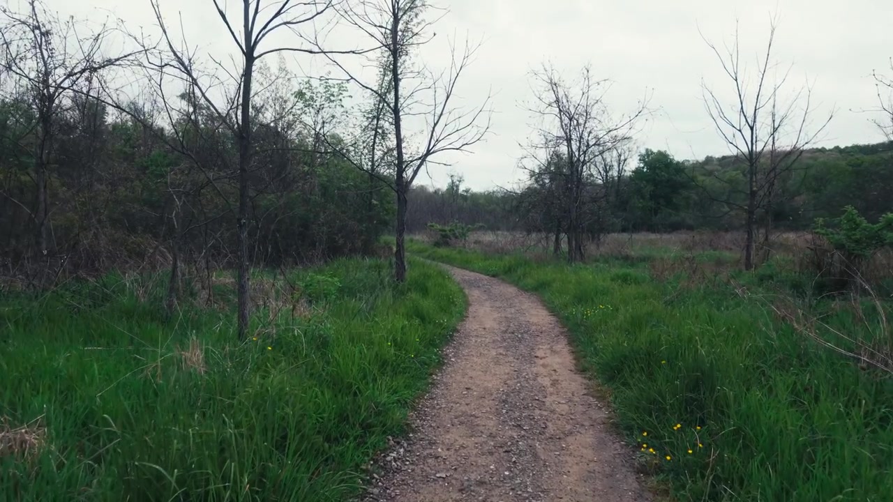 POV Shot walking along a dirt path surrounded by a grassy field with trees and bushes.