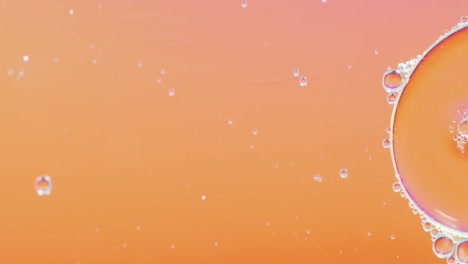 animation of bubbles moving on orange background with copy space