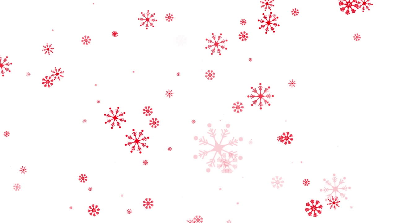 animación digital de iconos de copos de nieve rojos que caen sobre un fondo blanco