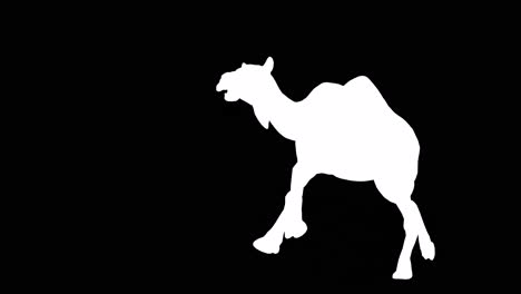 a camel running on black background with alpha channel included at the end of the video, 3d animation, perspective view, animated animals, seamless loop animation