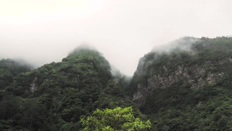 misty mountains and dense forest