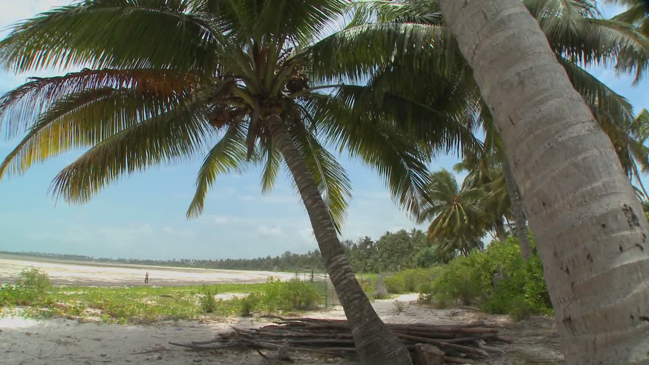 Pan across a perfect tropical beach on a tropical island paradise 1