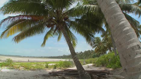 Pan-across-a-perfect-tropical-beach-on-a-tropical-island-paradise-1