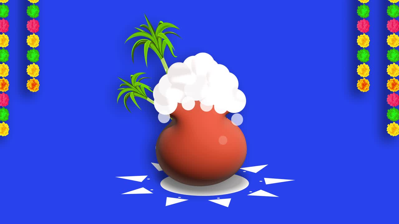 feliz fiesta de pongal saludos. animación con pantalla azul canal alfa. 4k