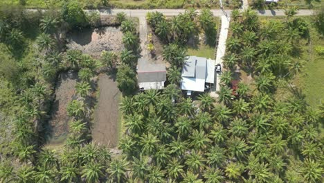 Aerial Drone View During Summer Alit Fishing Village,Kabong With, Facing Open Blue Sea, White Sandy Beach,Green Coconut, Palm Trees,And River,Sarawak,Borneo