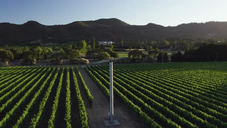 Rotación-Aérea-Sobre-Un-Viñedo-Que-Exhibe-Un-Ventilador-De-Viñedo-En-El-Valle-De-Napa.