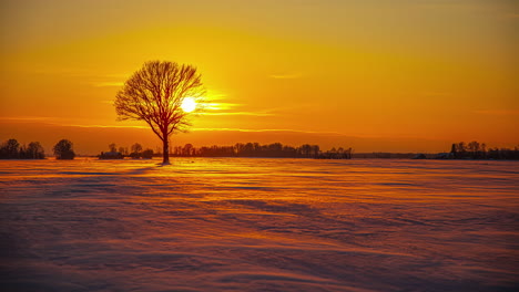 timelapse shot of golden sunset lighting on snow covered agricultural fields with tree silhouette along winter evening