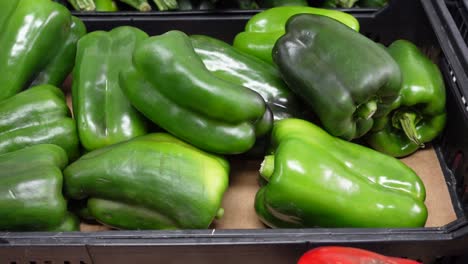 lots of green peppers on market closeup