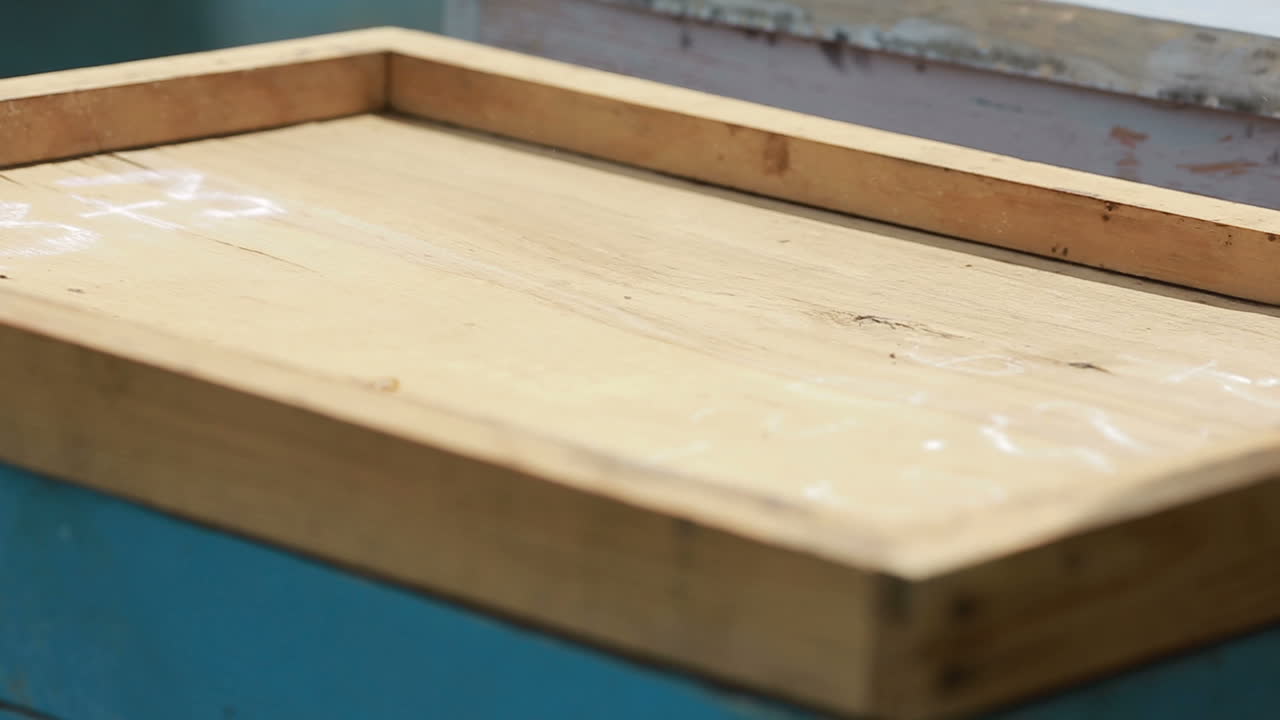Apiarist Is Working In His Apiary. Beekeeper checking a frame of honey bees from the hive