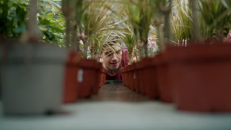 Close-up-shot-of-a-guy-in-a-brown-sweater-and-glasses-examining-pots-in-which-flowers-are-planted-in-a-specialized-flower-shop