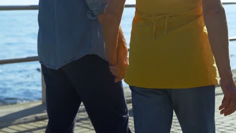 senior couple walking near seaside at promenade 4k