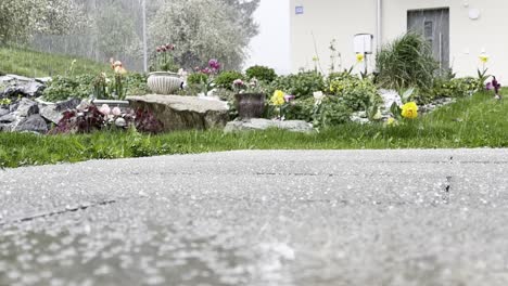 Cerrar-Granizada-En-El-Jardín-Durante-El-Día