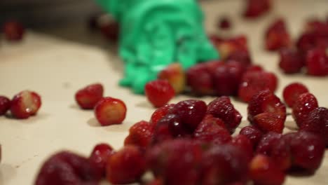 person in a factory removing the rotten and contaminated strawberries in the sorting process