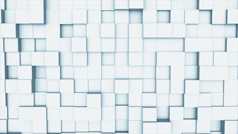 random waving motion abstract background from square geometric surface loop: light bright clean minimal squares grid pattern, canvas in pure wall architectural white. seamless loop cg 3d animation