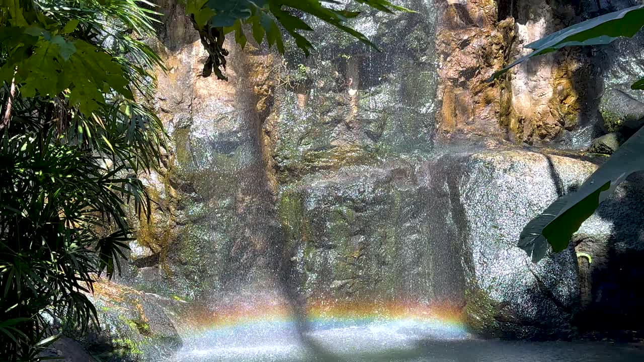 울창 한 정원 의 폭포 에서 무지개 가 형성 된다