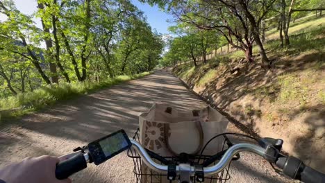 electric bike traveling on forest trail with bag basket in front