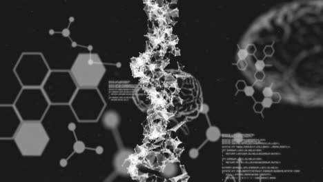 Animation-of-dna-strand,-human-brain,-medical-data-processing-and-chemical-compound-structures-on-gr