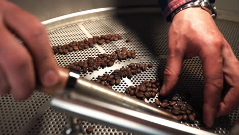 Checking-Roast-Level-of-Coffee-Beans-Comparing-Color-After-Roaster-Machine-Using-Special-Scapula-Sampler---Close-up-Man's-Hand