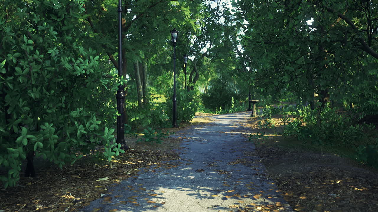 낮에는 평화로운 공원에서 울창한 초록색을 가로질러 조용한 길