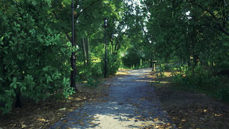 quiet path through lush greenery in a peaceful park during daytime
