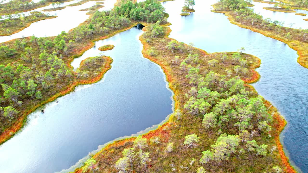 Discovering the unique beauty of Kemeri swamp in Latvia from above