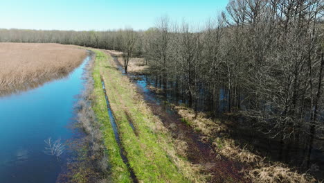 Vista-Aérea-Del-Humedal-En-El-área-De-Manejo-De-Vida-Silvestre-Del-Estado-De-Bell-Slough,-Arkansas,-Estados-Unidos---Disparo-De-Un-Dron