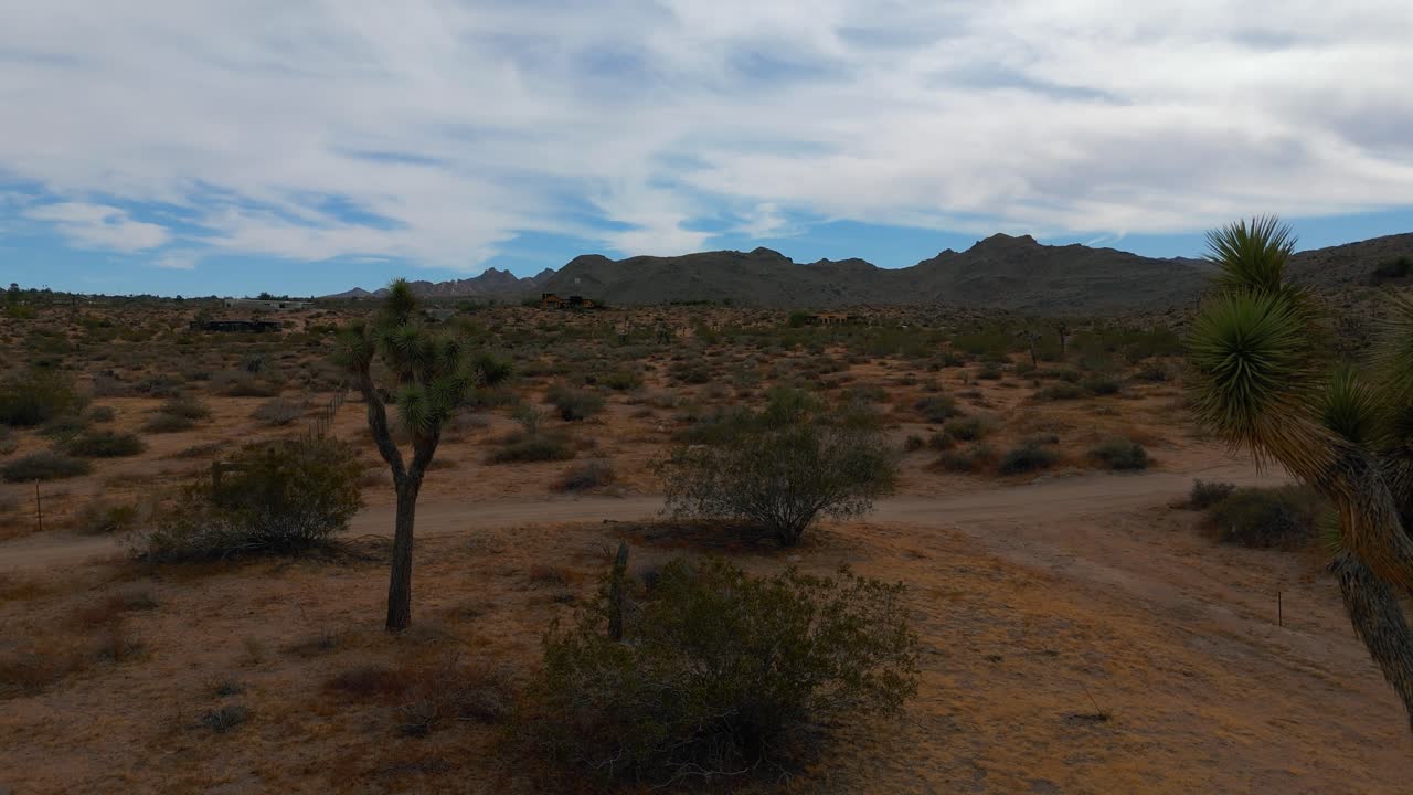 parque nacional del árbol de joshua, desierto de mojave