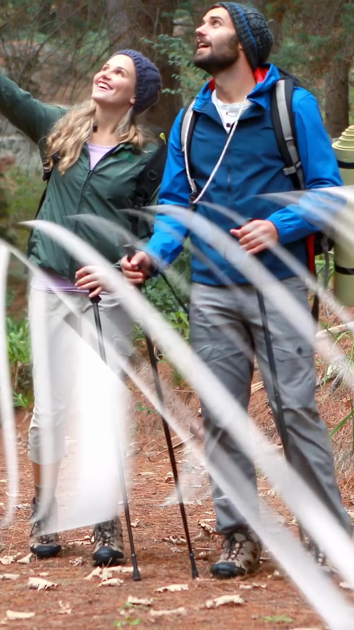 Video verticale: Donna che indica in alto durante un'escursione nella natura con un uomo che si ferma a guardare gli alberi e poi riprende con i bastoncini.