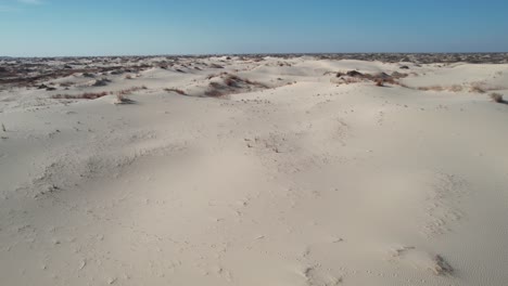 Desert-Landscape-of-Monahans-Sandhills-State-Park,-Texas-USA,-Sand,-Dunes-and-Blue-Horizon-on-Hot-Sunny-Day,-Drone-Shot