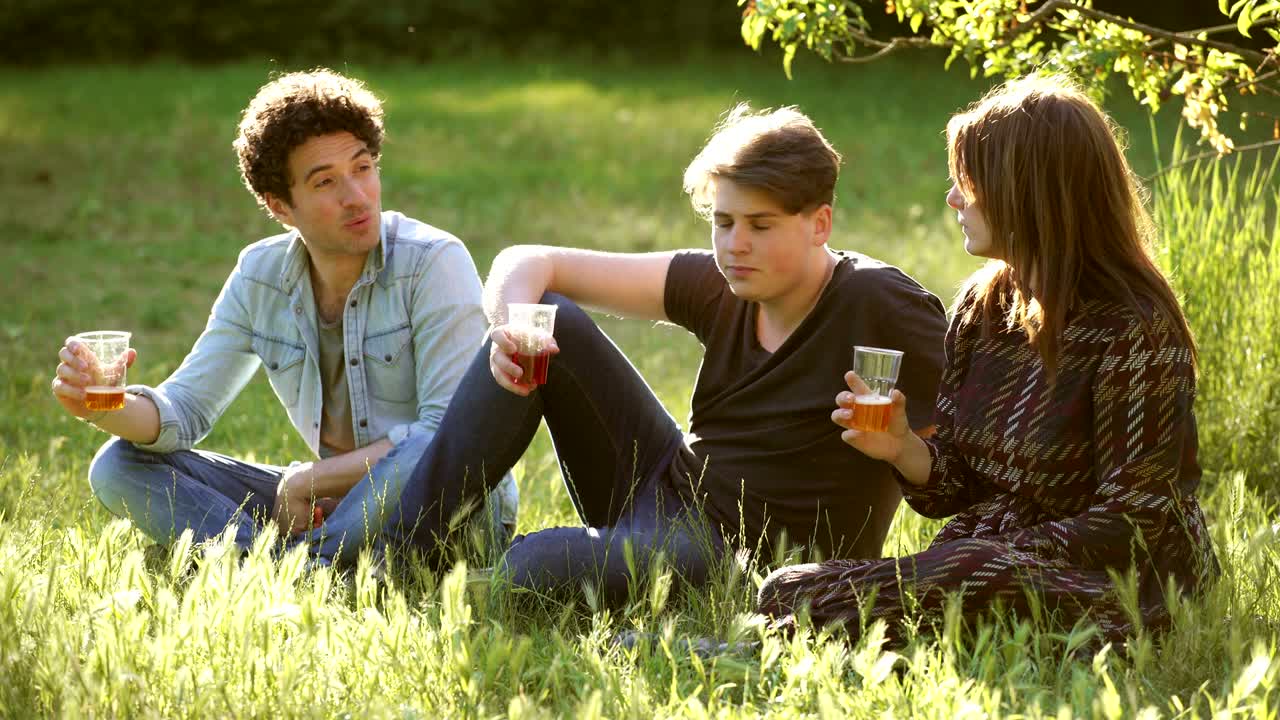 공원에서 술을 마시는 친구들, 행복한 여름