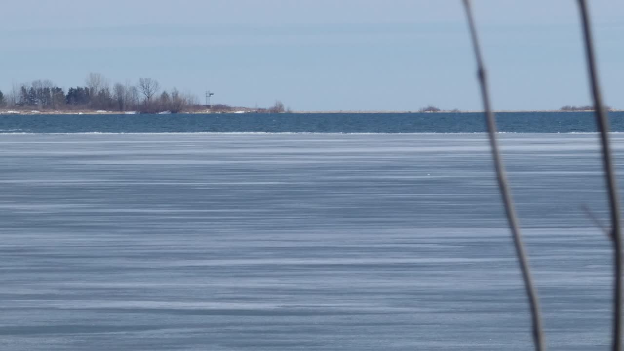 Ice retreats on a frozen bay in early spring, with bare vines in the foreground.