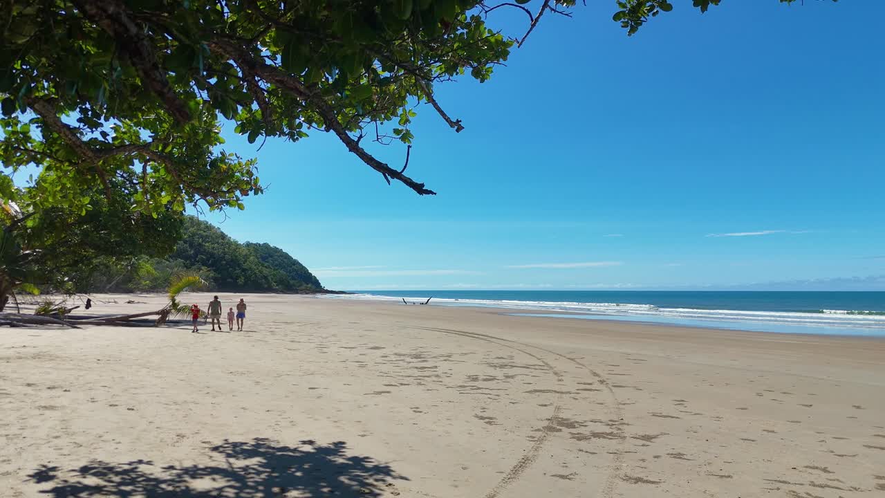 A family walks along a sunlit beach under a tree's shade in Port Douglas, Australia