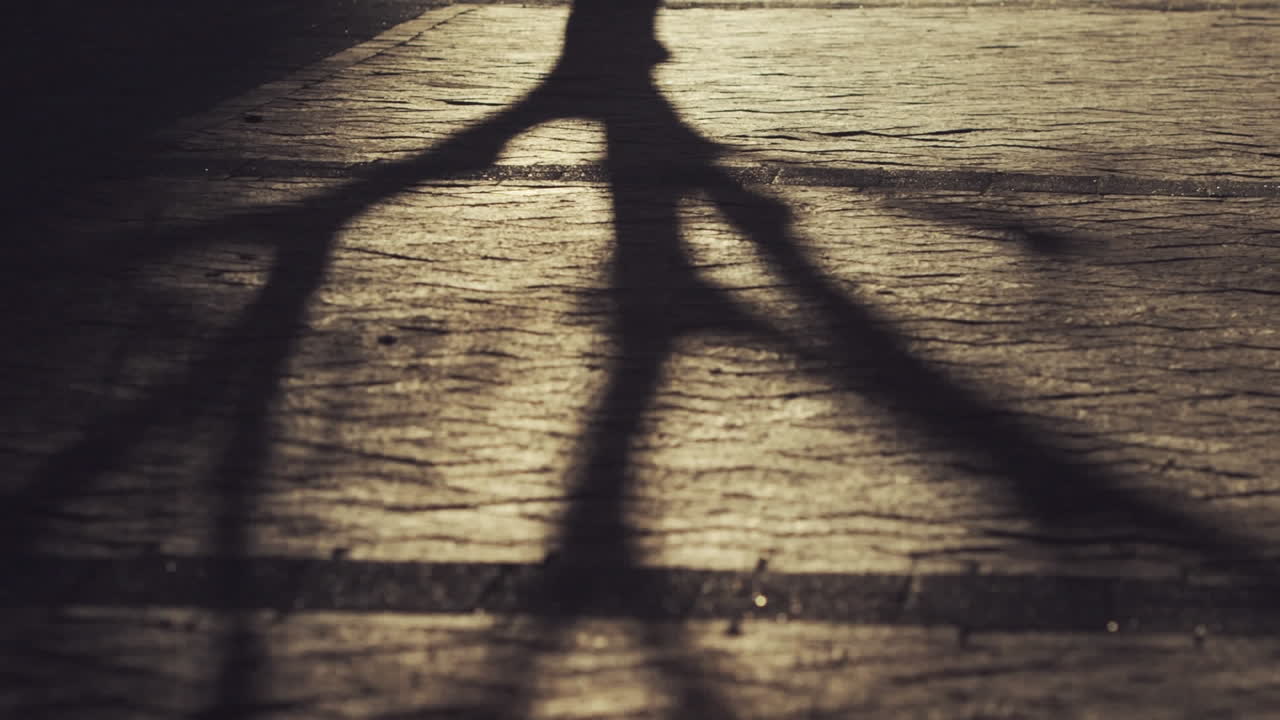 디지털 카메라로 빠른 움직임으로 출퇴근객을 촬영