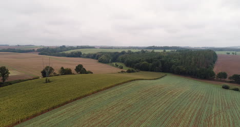 Luftaufnahme-Von-Landwirtschaftlichen-Feldern-Und-Wald-6