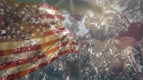 Animation-Von-Bäumen-Und-Blättern-über-Der-Flagge-Der-USA