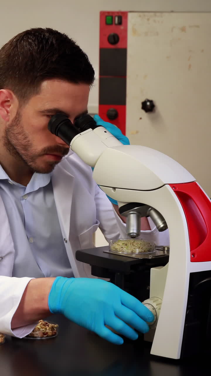 Uno scienziato che guarda attraverso un microscopio una piastra di Petri.